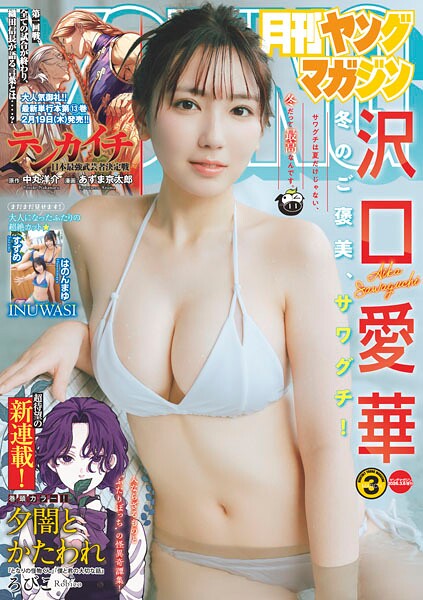 2026年2月号の月刊ヤングマガジン最新情報と見どころまとめ